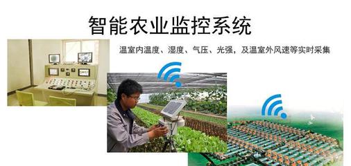 溫度、濕度、光照強度與農業生產 在線氣象監測技術解析