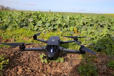 國內農業科技崛起 極飛科技推多款農用無人機搶占市場機遇