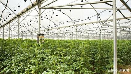 沙漠農業騎兵 以色列如何用科技破解缺水瓶頸