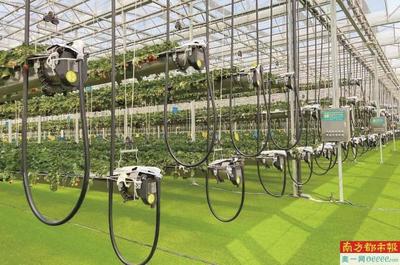 激活農業新質生產力 打造都市現代農業強市