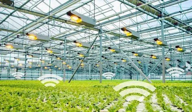 現代農業的新篇章 智慧農場、機器人、物聯網與人工智能的融合