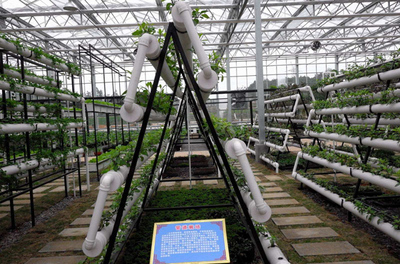 著力提升農(nóng)業(yè)科技園區(qū)建設(shè)水平 信息技術(shù)領(lǐng)域的機(jī)遇與路徑