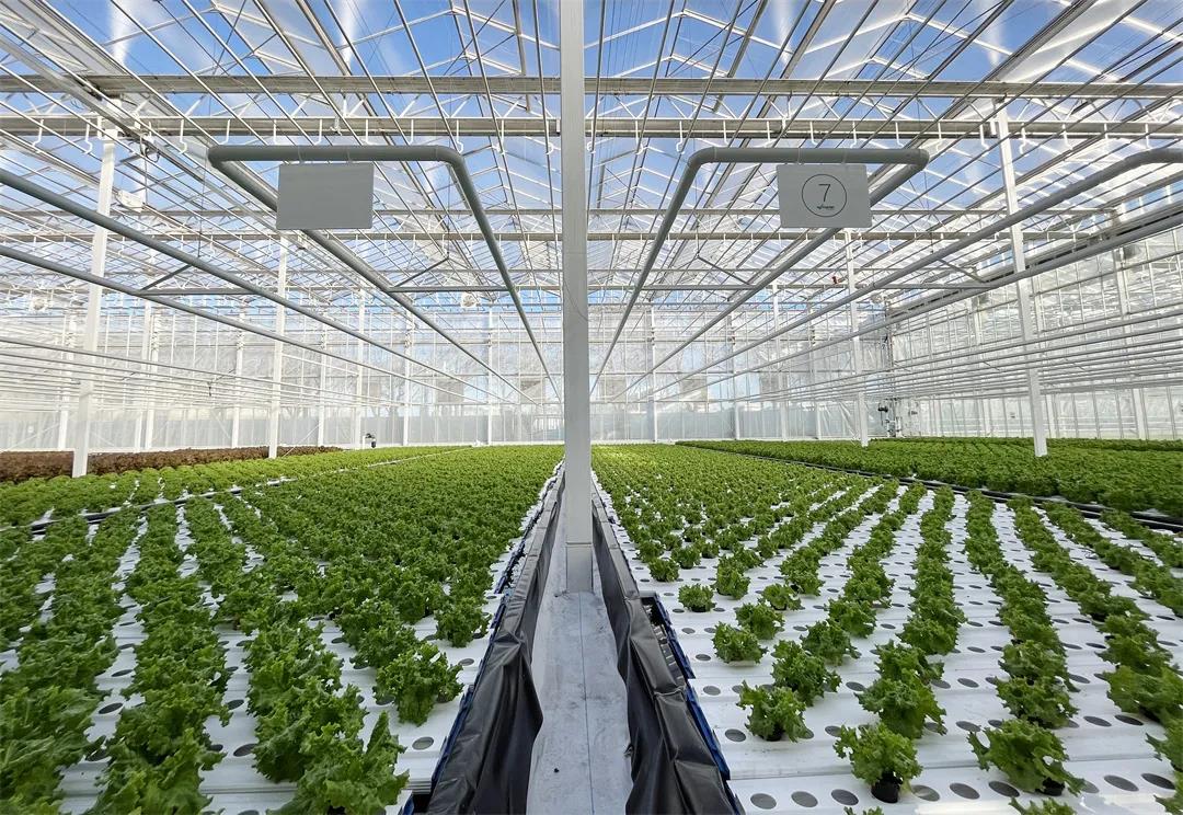 國家農業科技創新園項目信息化升級完成并投入使用