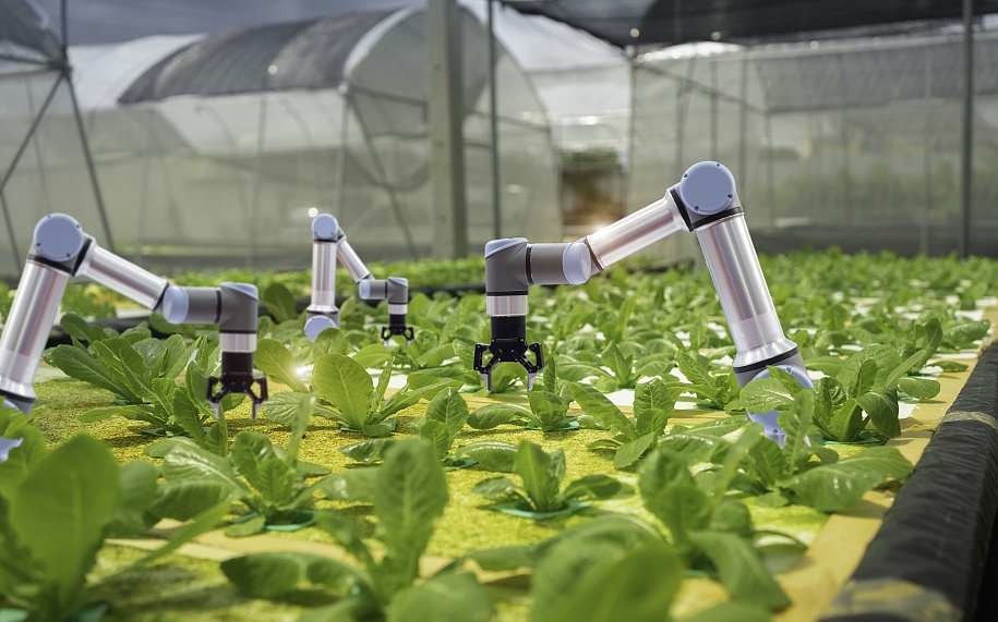 智能化流水線工廠生產 科技農業魅力無限