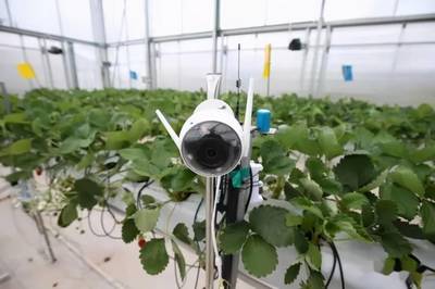 端好中國人的飯碗 信息技術領域技術開發是關鍵