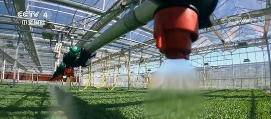 制度創新激發鄉村振興內生活力 職業農民成鄉村振興帶頭人