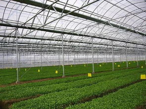 河北重獎農業科技創新單位與個人，獎金最高可達8萬元