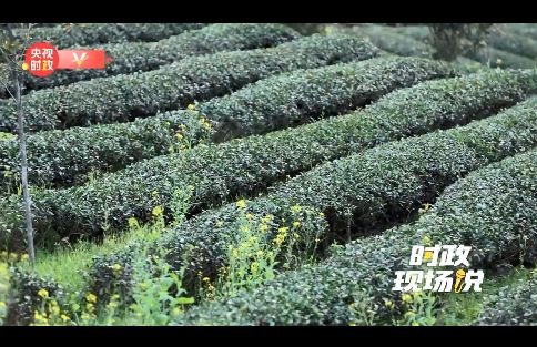 科特派 賦能農業科技的堅實力量