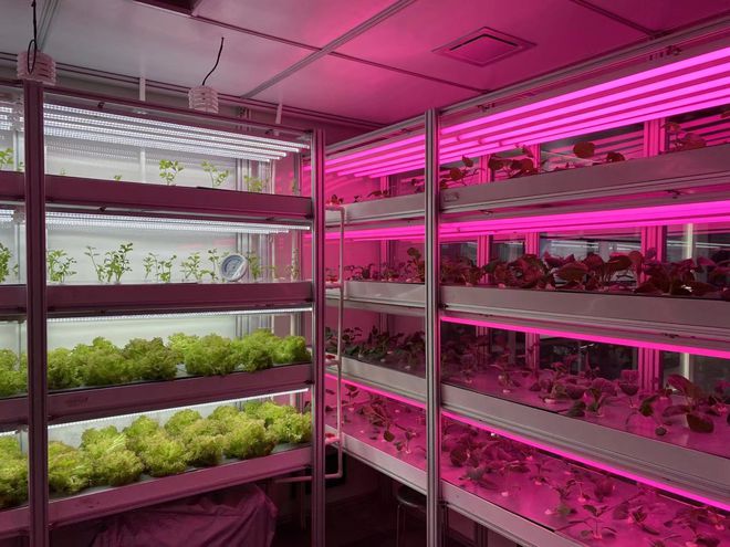 懂技術的新農人為何鄉村留不住？——聚焦信息技術開發人才的困境