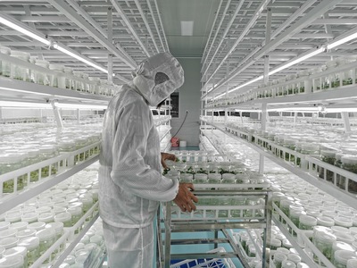 科技創新助推花卉產業“絢麗綻放”