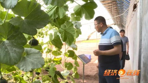 最美科技工作者 砥志研思的邱鵬程，信息技術領域的技術開發先鋒