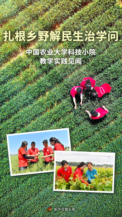 扎根鄉野解民生治學問 中國農業大學科技小院教學實踐見聞
