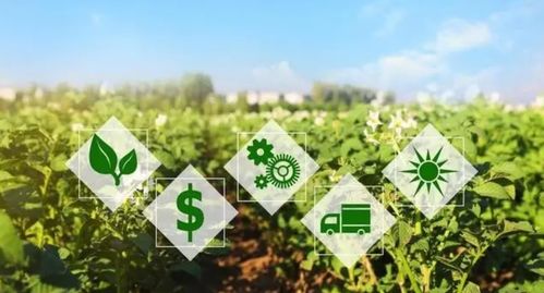 肥料價格飆升，農業科技新星美盛高增長的倒計時還有多久？