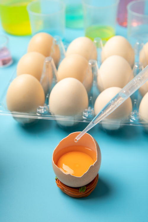 開殼雞蛋安全生產與信息技術融合的創新路徑