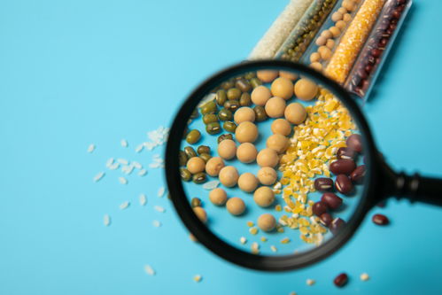 農業科技與食品安全 從五谷培育到高清視覺呈現