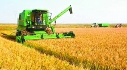 農業補貼新政出臺 明年起，這3種情況將無法領取補貼，南城人必看！