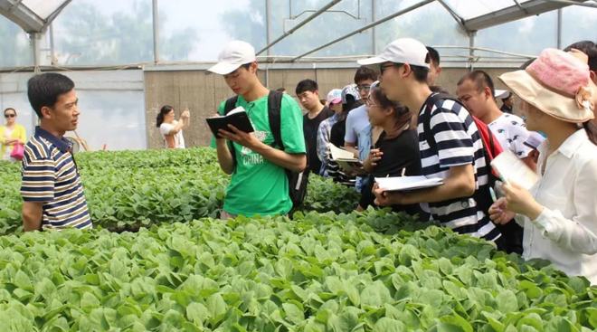 江西‘職教高考’新政 信息技術開發領域打破職業教育偏見