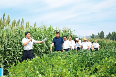 鄉村振興呼喚更多'農業CEO' 技術開發的力量