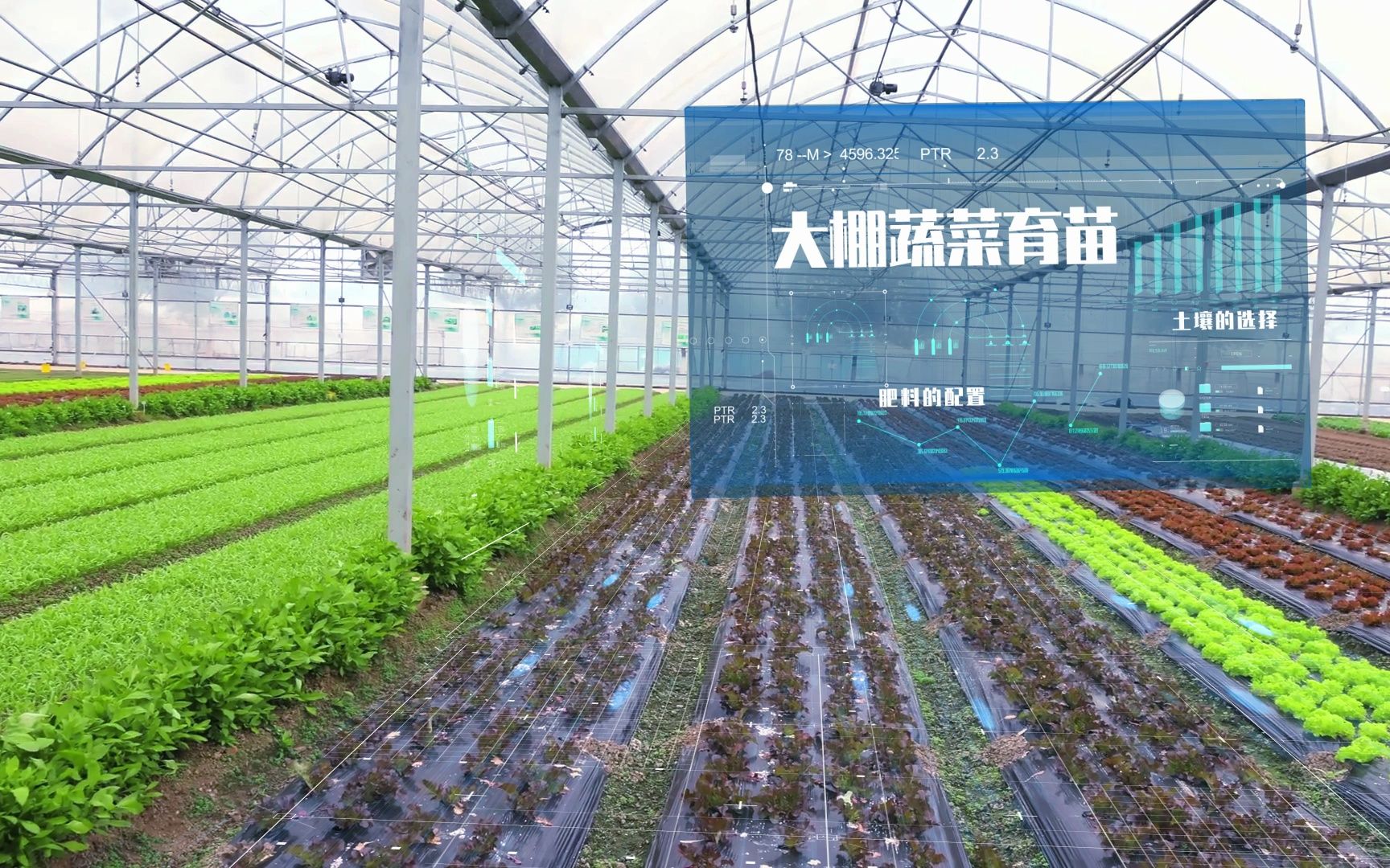 智慧農業溫棚科技 信息技術在農業技術開發中的創新應用