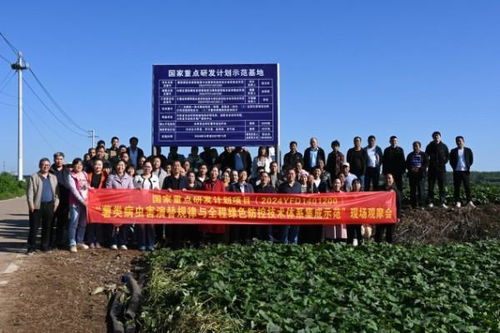 薯來運轉 河南省農科院植保所召開甘薯病蟲害綠色防控培訓觀摩會助力農業科技發展