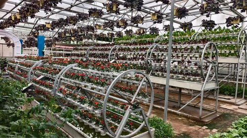 從面朝黃土到指尖耘田 一部劇照見的農業科技革命