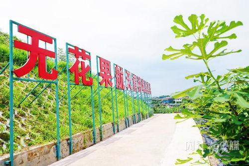 威遠 走好產(chǎn)業(yè)發(fā)展特色路，打造現(xiàn)代農(nóng)業(yè)新引擎