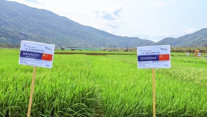 避開(kāi)人潮！2020年三亞農(nóng)業(yè)科技主題小眾景點(diǎn)攻略合集