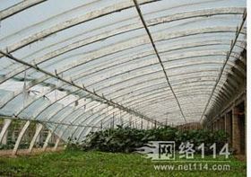 耕耘未來(lái) 農(nóng)業(yè)科技如何重塑現(xiàn)代農(nóng)業(yè)