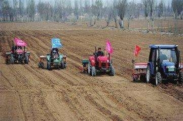 新農(nóng)業(yè)科技與信息技術(shù)融合 綠色經(jīng)濟(jì)下的致富新路徑