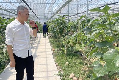 一只橘子的科技裂變——‘26賽道’上的鄉(xiāng)村CEO系列報(bào)道之六