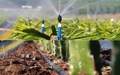 【對話創(chuàng)業(yè)者】廣西捷佳潤科技股份 用信息技術(shù)為農(nóng)業(yè)插上輕松快樂的翅膀